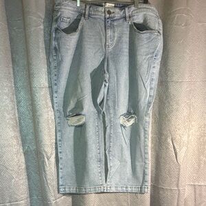 Lane Bryant Light Blue Boyfriend Jeans
